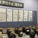 전북 순창발효테마파크 완벽 체험기 | 팡이관·효모관·콩이관·토굴까지 하루 코스로 즐기기