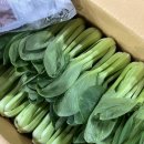 중앙도매 | [진주]진주중앙시장야채도매집 "수정상회" 후기- 진주야채도매,진주식당납품,진주식자재납품,진주식사재...