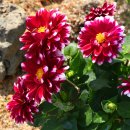 황룡강변2 이미지