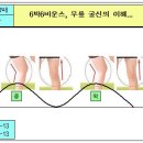 [♥사랑모/리듬댄스] 8짝춤, 부르스에서 6박6바운스 무릎굴신의 이해... 이미지