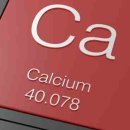 칼슘 Calsium 이란 이미지