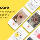에이아이기업진단 서울신문