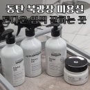 반송동196 | 동탄 반송동 미용실 헤어다이아 추천 머리 톤다운 매트브라운 염색 아윤채 클리닉까지