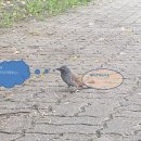 김가네부동산중개 이미지