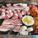 탐라도야지 티스토리