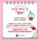 이삭의 향기 이미지
