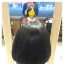 시트린헤어 이미지