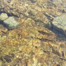 물과숲민박 이미지