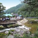 별비담캠핑장 이미지