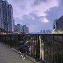 삼성플러스안과의원 이미지