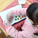 전통차 예절과 다식 이미지