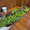 대궐낚지볶음 이미지