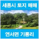 우리땅 공인중개사사무소 이미지