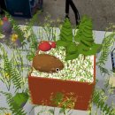 구천중학교 이미지