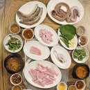 산꼼장어 이미지