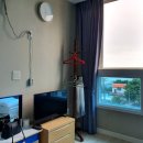 강정누림 이미지