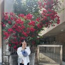 효제길 | 행운가득한 춘천 여행기🫧⋆｡˚