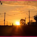 수원해소한의원 이미지