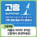 녹동어린이집 | 여름 막바지, 고흥에서 즐기는 가족·체험 총정리!