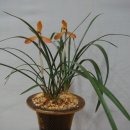 동래원예고등학교 이미지