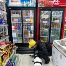 다이소포항