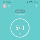 아티니카