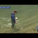 법률사무소조은 이미지