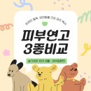 감일로약국 이미지