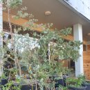 효돈생활체육관 이미지