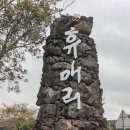 휴애리 티스토리