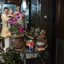 촌닭과오리 이미지