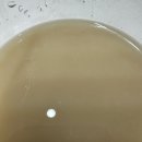 불백고수 | 🍶 제주 쉰다리, 직접 담가 본 후기! 센텀돈까스 맛집 불백고수락에서 만날 수 있어요?