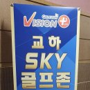 스카이 골프존 이미지
