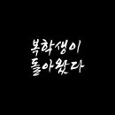 크리에이터J
