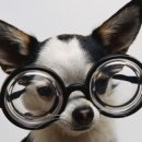 안경클리닉 이미지