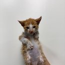 임피면 주민센터 이미지