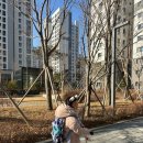 아이랑한의원 이미지