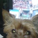 방배1동 _ 이미지