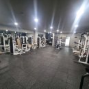 머슬원핏 월곶점 이미지