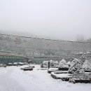 신구대학교식물원 갤러리 우촌 이미지