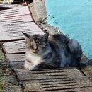 부춘산체육공원 이미지