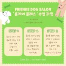 도그미용실 이미지
