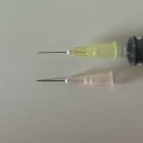 이온치과의원 | 아가나 시험관 1차 과정,비용정리 (배주사~난자채취 일정 확정까지)