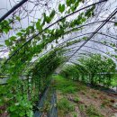 현재농장 이미지