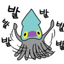 오늘산책 이미지