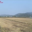 광산구-146 이미지