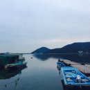 금호수산 이미지