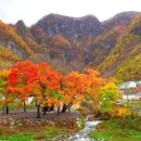 코끼리캠핑장 네이버블로그