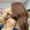 러블리 강아지 이미지