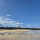 연우태권도장 이미지